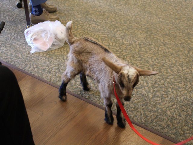 CountryHouse Residence